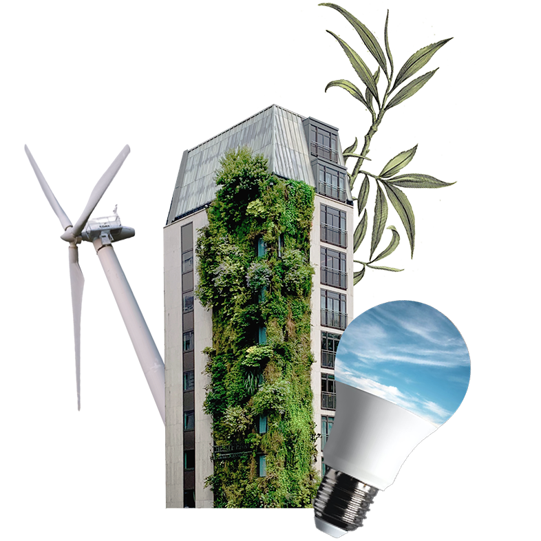 Conseil développement durable - Etyo Green Insight - collage