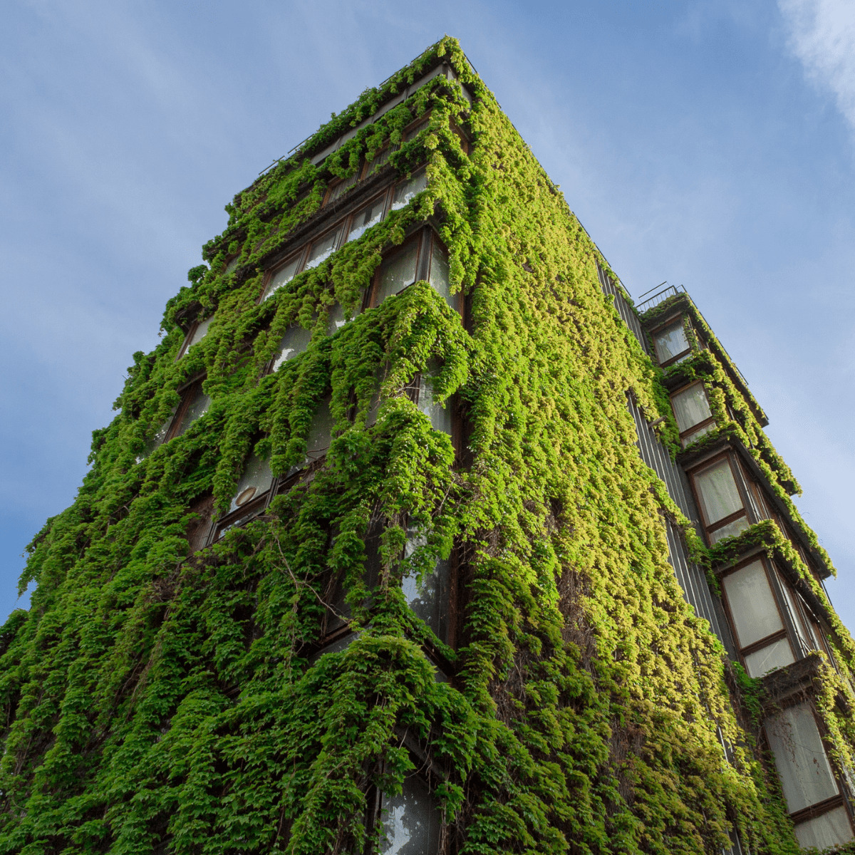critères-esg-immobilier-etyo