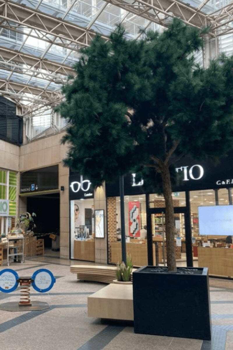 Catalyst Capital, Rueil-Malmaison (78)-etyo-amo-retail