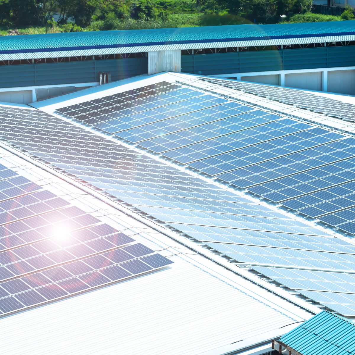 panneaux solaires sur le toit de l'usine