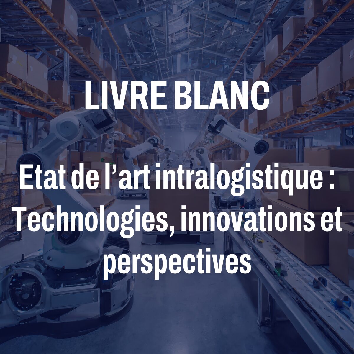 livre blanc état de l'art intralogistique