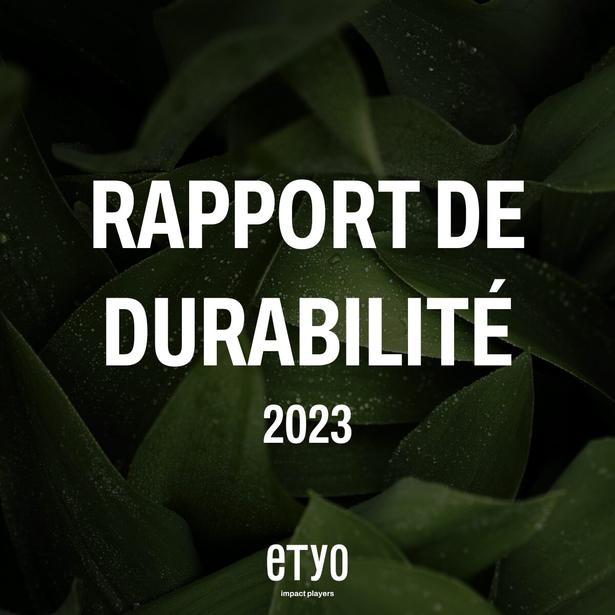 Rapport de durabilité 2023 - site internet