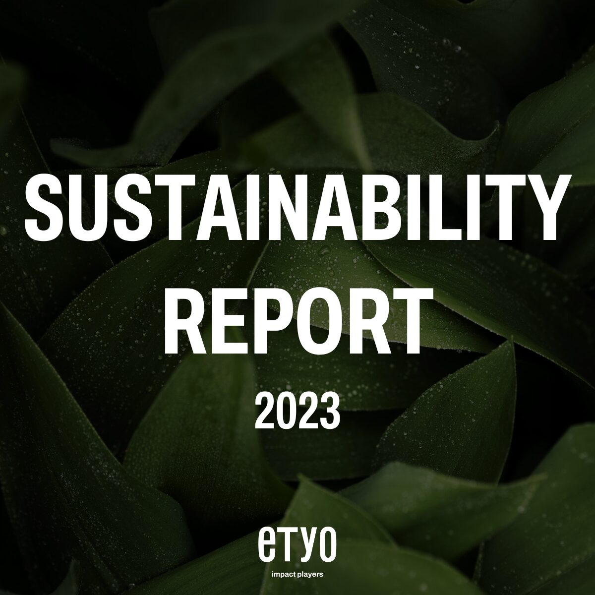 sustainability report