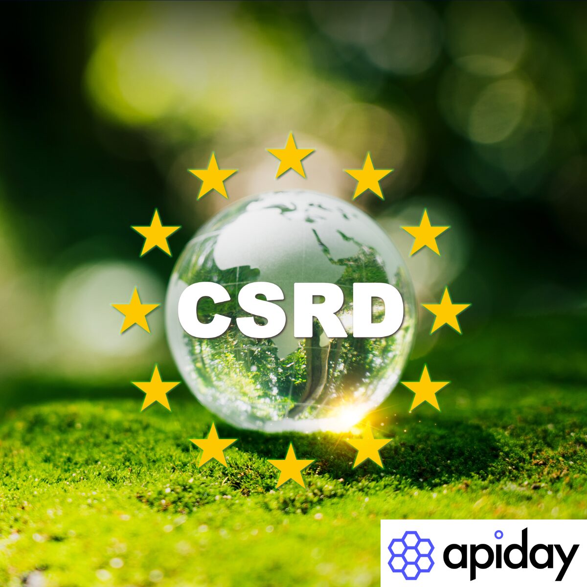 Webinaire CSRD x Apiday