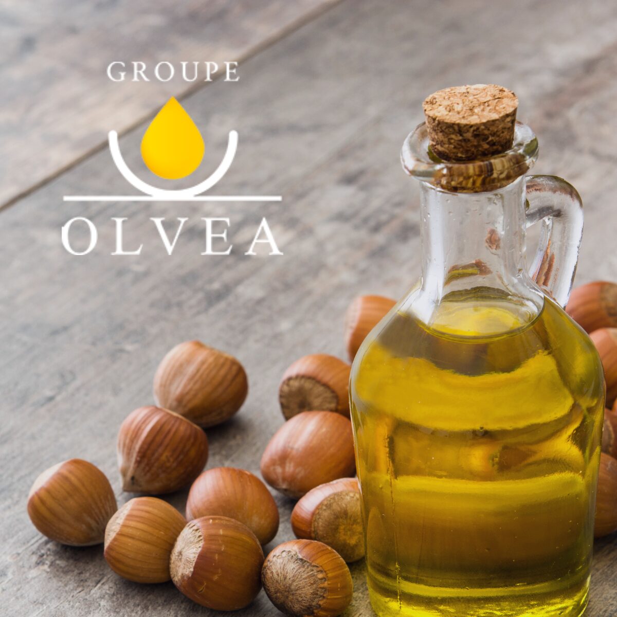 Groupe Olvea