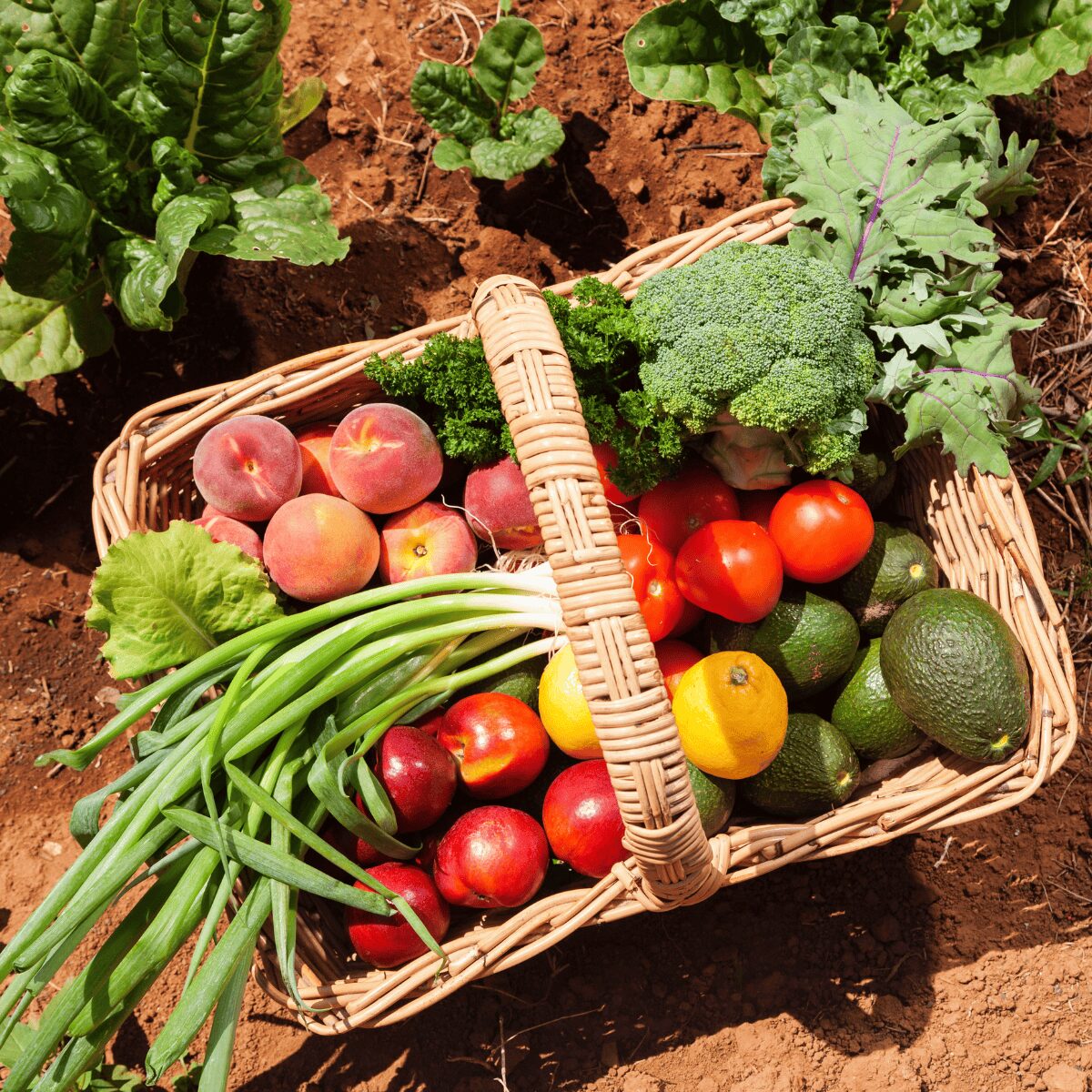 Panier de fruits et legumes