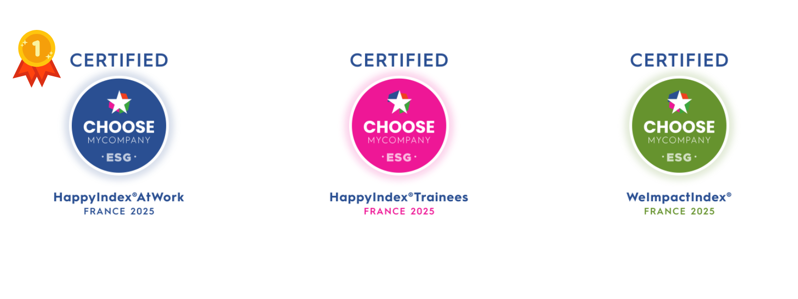logo choosemycompany 2025