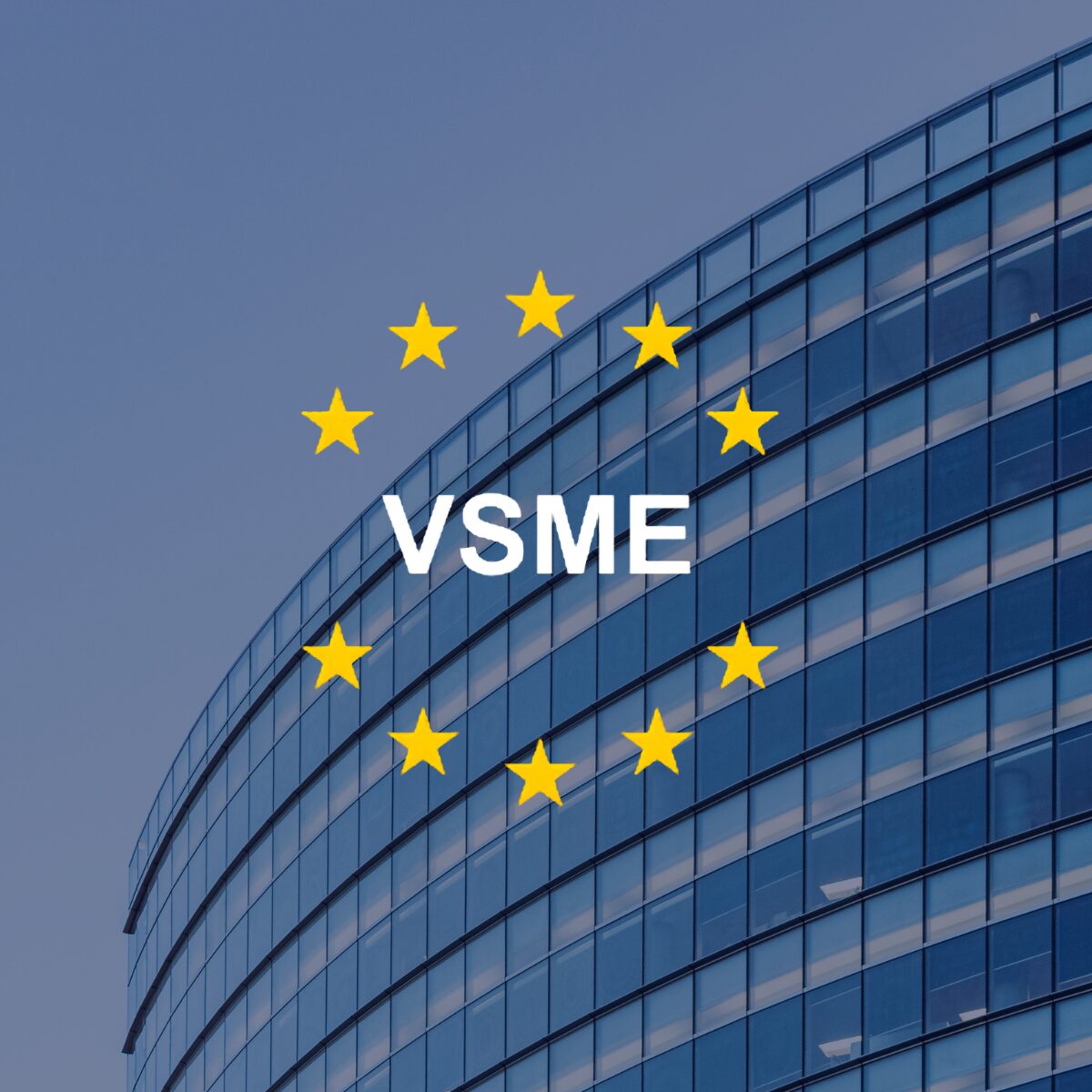 vsme